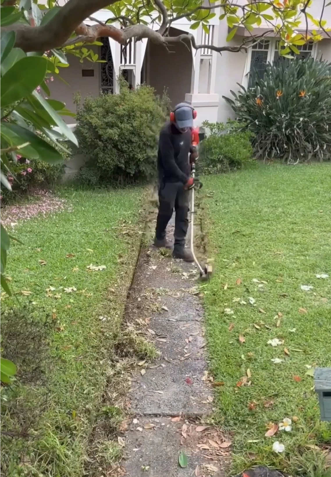 #cleaningasmr #uncloggingdrains #cuttinggrass #cleaninghouse #satisfying #asmrsleep #asmrsleeprelax #cleaninggarden #camping #tips #cleaningsatisfying #homecleaning #housecleaning #lawncare #mowing #mowingthelawn #lawnmowing 