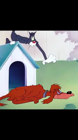 #tomandjerry #animation #cartoon #childhoodaanimation 