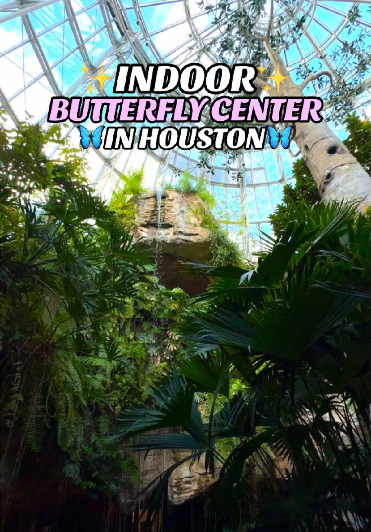 ✨🦋INDOOR SUMMER ACTIVITY IN HOUSTON //THREE-STORY BUTTERFLY CENTER 🌴✨ #HoustonLoveList // If you’re looking for a fun, affordable summer activity for the fam or a cute date idea, this is it. 👏 @Houston Museum NS is home to the Cockrell Butterfly Center, a three-story walk-through rainforest filled with butterflies from around the world and a 50-foot-waterfall!  It’s $15 for adults, $12 for kids, and $8 for members. Bonus: the main museum is free on Tuesdays evenings from 5-8PM but the butterfly center is extra and trust us, it’s totally worth it. 💸🦋 LOCATION// 📍 5555 Hermann Park Dr, Houston, TX Tag your summer adventure crew and… Add it to the Love List! 💕✨ #houstontx #indoor #butterfly #butterflycenter #summeractivities #summeractivitiesforkids 