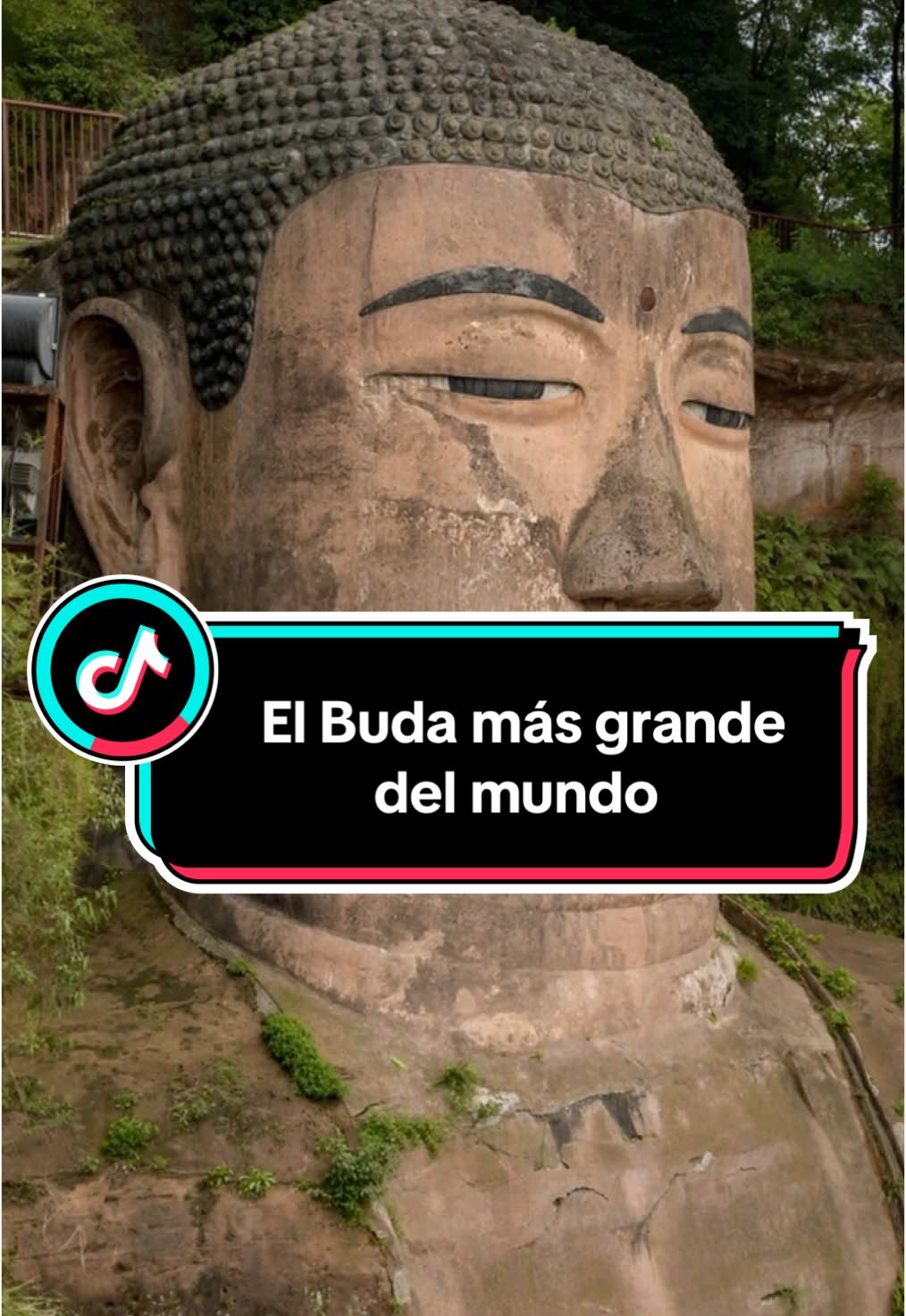El Buda más grande del mundo #MisteriosDelPasado #GranBudaDeLeshan #SecretosAntiguos #LeyendasChinas #HistoriaProhibida #CuriosidadesHistóricas