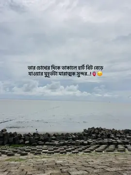 তার চোখের দিকে তাকালে হার্ট বিট বেড়ে যাওয়ার মুহূর্তটা মারাত্মক সুন্দর..!🫀😊#maita_pakhi #foryoupage #mt #CapCut #tranding #couple #viral?video @Tasfiya 