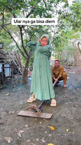 Lincah juga ularnya #funny #komedi #konteniburumahtangga 