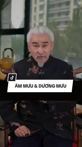 Âm mưu & Dương mưu bạn nên biết #banchatconnguoi #muuluocconhan #daoly #thuyetammuu #thuyetduongmuu 