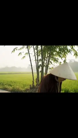 Đoạn đường này bố em làm an toàn lắm #veo3 #AI #xh 