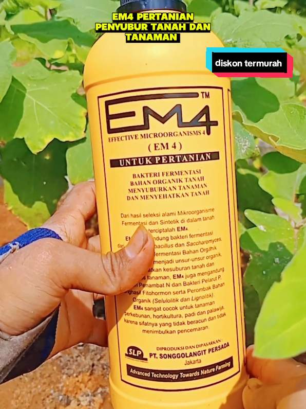 EM4 pertanian zat pengurai untuk menyuburkan tanah dan tanaman #racuntiktok #diskon #pejuangrupiah #em4 #penguraikompos #viral #fyp #fypシ゚ 