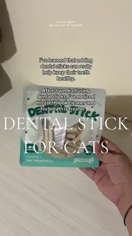 hindi na amoy bulok ang bunganga nya 🤣 #dentalstick #cat #catlover #furmom #petsupplies #pet #petsup 