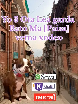 paisa_kanda😆#dogesh #grow #forupageシ #fyp #paisa 