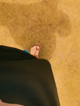 کیا کیا نہ دلِ زار نے ڈھونڈی ہیں پناہیں۔ ❤️🩹🥀