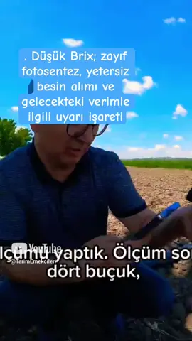 Bugün genç bir karpuz bitkisinin sapından Brix ölçtük. Ölçüm sonucu: 4,5 çıktı. Bu sadece karpuz için geçerli değil — domates, biber, mısır gibi birçok üründe erken dönemde yapılan Brix ölçümü, bitkinin şeker üretme kapasitesini ve genel sağlığını gösterir.