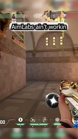 Aimlabs vs The Actual Game #Valorant #funny 