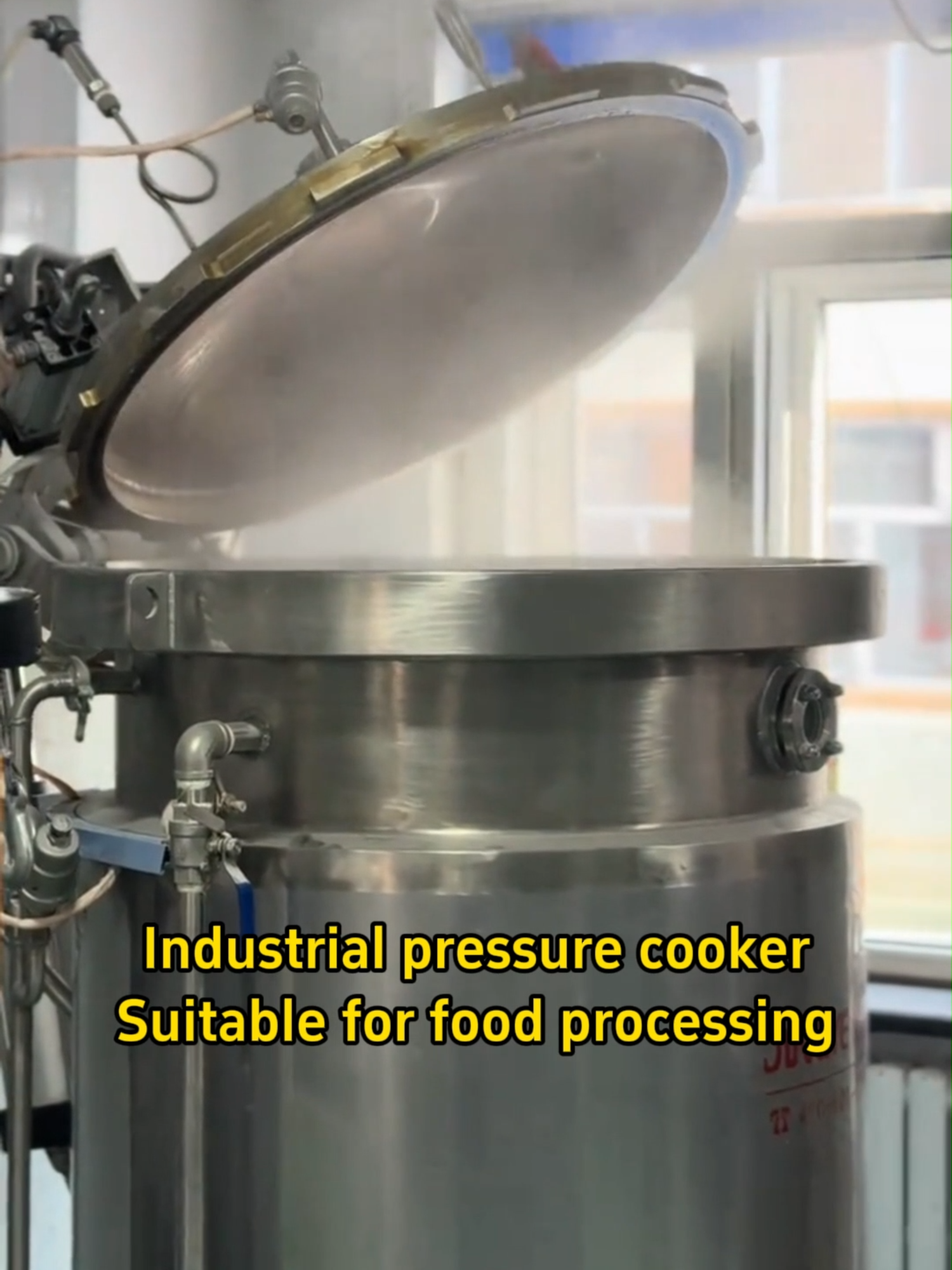 This is a industrial pressure cooker that allows cooking at temperatures over 100°. #pressurecooker #machine #bonebroth #chickensoup #beans