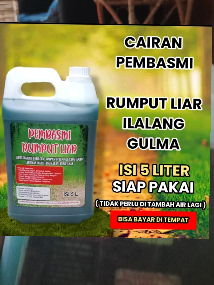 Cairan Pembasmi Rumput Liar, ilalang, Gulma siap pakai isi 5 Liter #cairanpembasmirumput #mitahusein #fyppppppppppppppppppppppp 