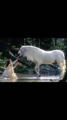 #unicorn #unicorns #ibelieveinunicorns 