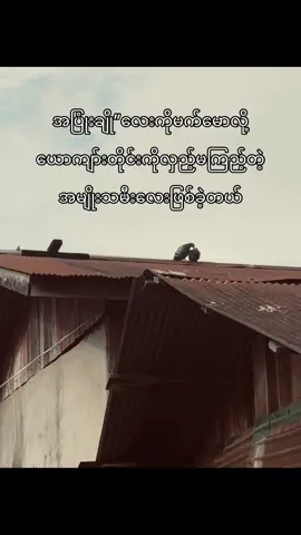 အချစ်လို့ခေါ်တယ်💕#စာတို #စာသား #မဖလုတ်နဲ့ကွာ☹ #feelစာသား🥀 #tiktok #tiktokmyanmar #fry #for #foryoupage #ဒီတခါတော့fypရောက်လိုက်တော့ #foryou #moots? #trend #trend #trendingsong 