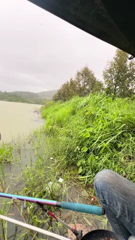 Mưa thế này sao mà câu 😢 #xhhhhhhhhhhhhhhhhhhhhhhh #caucatunhien #xuhuongtiktok 