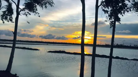 ❤️#arsadul13 #support #vairal #foryou #arsadul13 