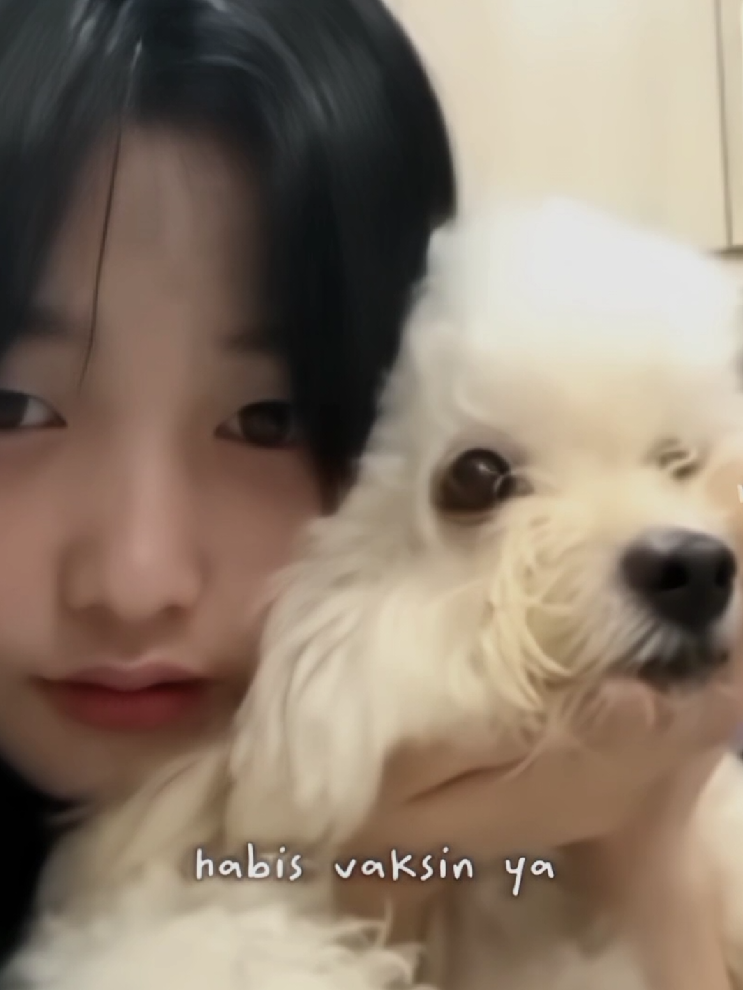 gemes, oline and her doggie 🐾 #olinejkt48 #olinemanuel #jkt48 #jkt48newera #gen12jkt48 #doggy #fyp 