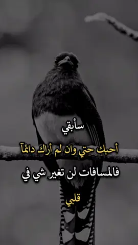 #عبارات_جميلة_وقويه😉🖤 #افضل_عبارة_لها_تثييت #عباراتكم_الفخمه🦋🖤🖇 