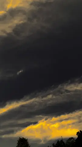 سهل طريق طفل بمليون حلم على والديه يا الله 