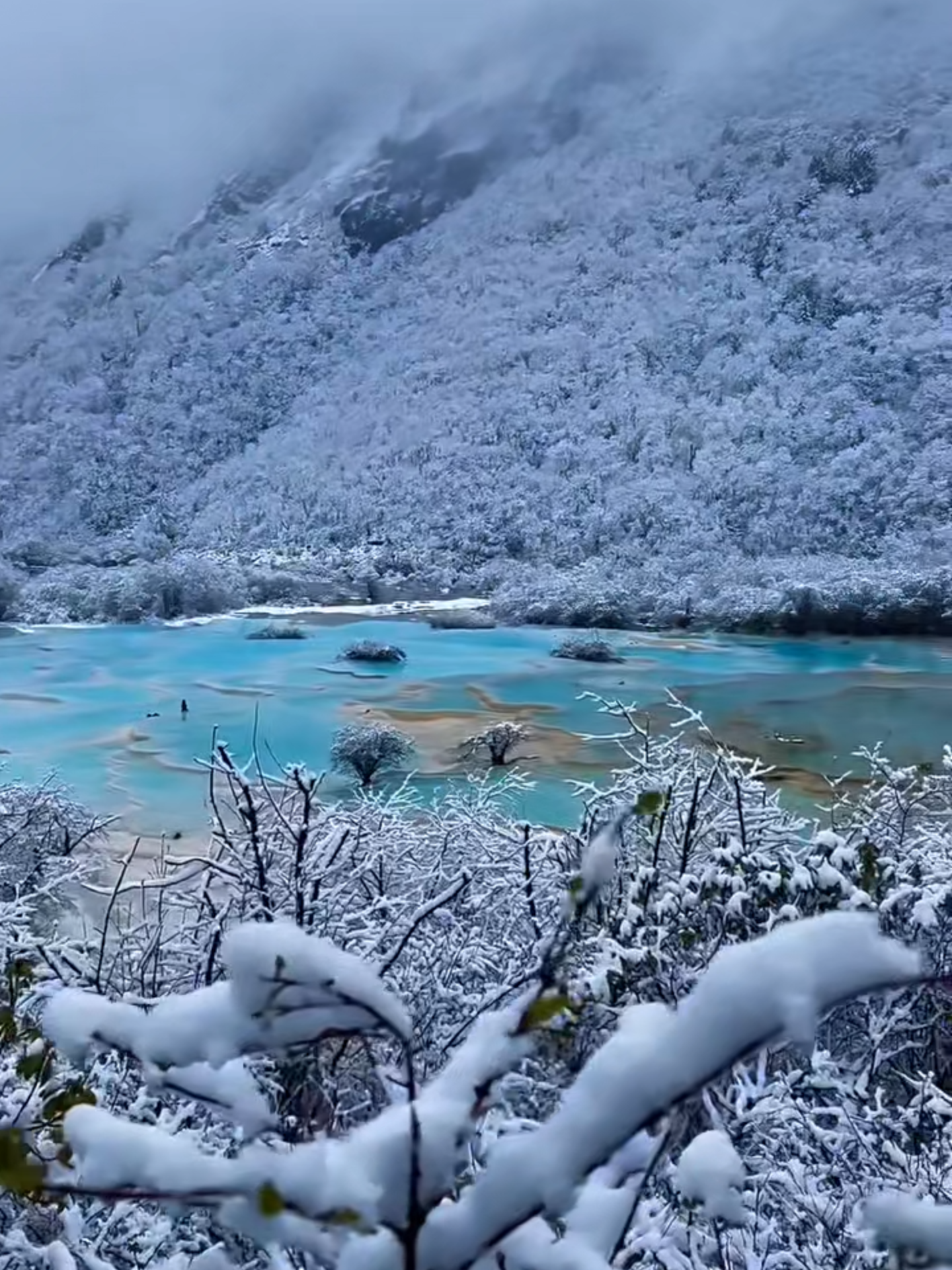 Tuyết rơi giữa mùa hè tại Hoàng Long Cửu Trại Ngày: 02/06/2025 📍 Cửu Trại Câu, Tứ Xuyên, Trung Quốc #dulichTrungQuoc #fyp #xuhuong #trending #tiktok #dulichtiktok