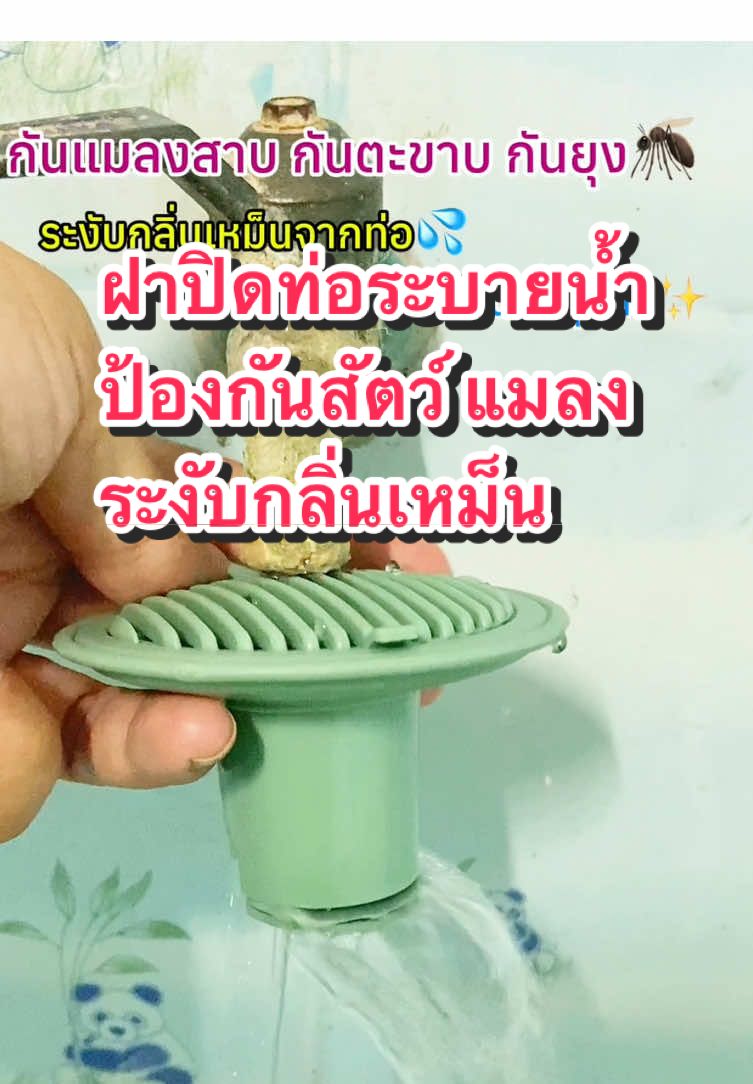 ตอบกลับ @Joy_poonyawee💕 ฝาปิดท่อระบายน้ำ ป้องกันสัตว์แมลงขึ้นจากท่อ ระงับกลิ่นเหม็นในห้องน้ำ #ตะแกรงกันกลิ่น #ฝาปิดท่อระบายน้ํา #ฝาปิดท่อระบายกันกลิ่น 