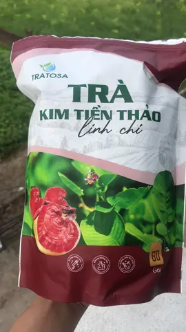 Trà kim tiền thảo linh chi tốt cho sỏi thận#trakimtienthao #trakimtienthaolinhchi 