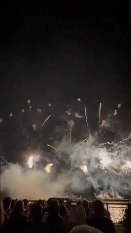 Nagoya Hanabi🫀🎆 #名古屋 #花火 #夏 #日本語 #kenshuseijapan🇮🇩🇯🇵🎌 #sadvibes🥀 #aisitheru #zivilia 