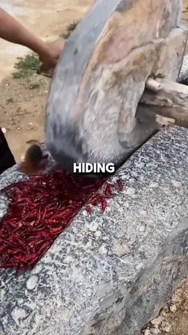 #storytime #reddit #fypage #tiktok #fyp #reddit_tiktok #redditstorytime #redditstories #redditstories #tiktokusa #askreddit #fypシ゚viral #Reddie #fy #qua