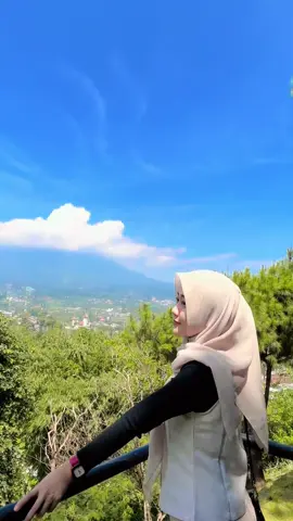 🍃🍃