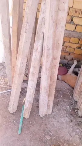 ####@وسام الصيادي @زيوني حميد @لواء 