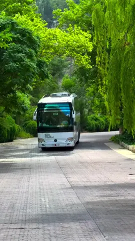 يا مسافر اللاذقيه 💚⛰️وادي الملوك #الساحل_السوري #اللاذقية #حسن_حلبي #ابن_مدينة_حلب_الشهباء #حلبي_والأصل 