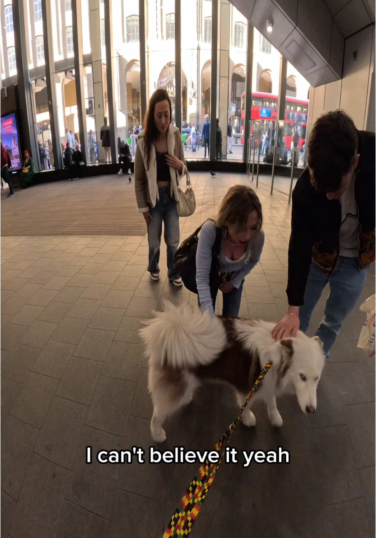 Interactions with my dog!!  #husky #viral #pets #fyp #foryou #londonbridge #viola #famous #pet 