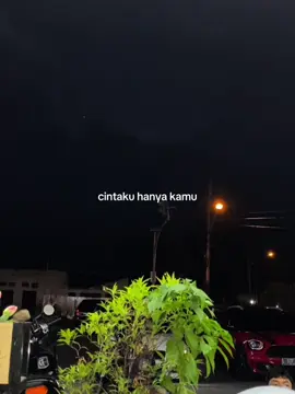 hanya kamu ahh ahh #overlaylirik #liriklagu #templatelirik #templateliriklagu #cintamerahjambu 