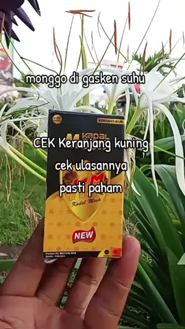 #kadalmesir #tiktokshopindonesia 