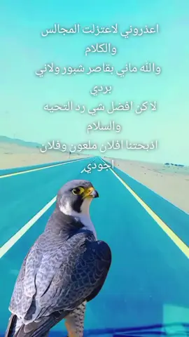 #في هذا اليوم 