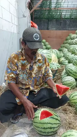 #kirek anke asu,keno serik ora keno nesu. #ok su