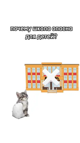 Киса объясняют, чем школа опасна для детей!?