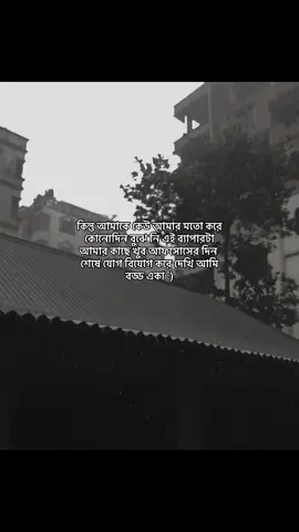 দিন শেষে যোগ বিয়োগ করে দেখি আমি বড্ড একা :) #foryoupage #foryou 