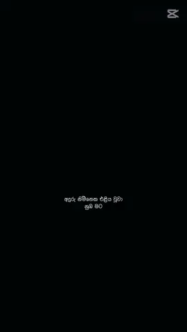 Those words always remind me of him. 😫💎🌷✨🦋#onepiece #sl_official #dinaz @Chanu De Thilakarathne 