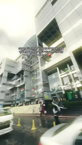 তোমাকে ভালোবাসি তোমাকেই বাসবো, তুমি পৃথিবীর সকল দুঃখ দিও তাও আমি তোমার কাছেই থাবো..!❤️‍🩹#CapCut #fyp #tiktok #tiktoknews 