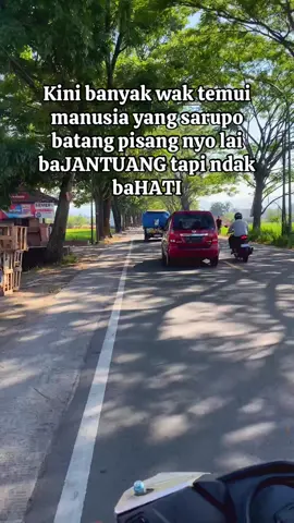 Banyak kini yang mdel tu kan 