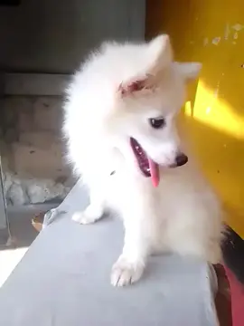 rip rest well 😔😔