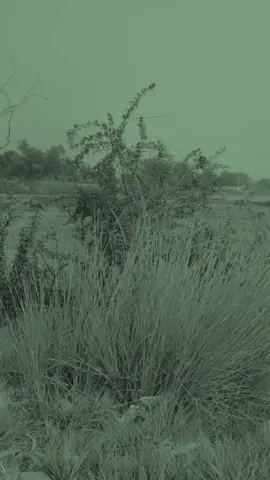 Sometimes Bro #Motivation #inspiration #struggle #perfect #workhard #SelfImprovement #truth 