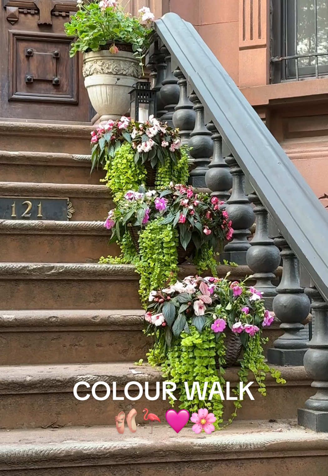 my new fave way to go on walks ☺️ 