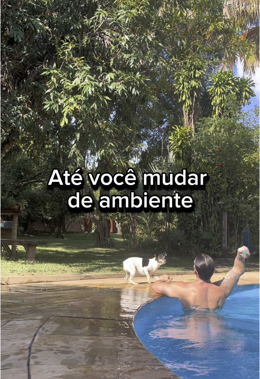 E se sua ansiedade e seu cansaço não fossem “problemas seus”… mas reflexo do ambiente onde você vive? Não é só sobre força de vontade — é sobre o espaço que você escolhe (ou aceita) viver. Seu ambiente pode te curar… ou te adoecer. . . . . . #autoconhecimento #habitos #qualidadedevida #bemestar #fyp #tiktokbrasil 