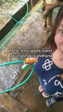 #fypシ #peternakmuda #peternaksapiindonesia #sapiperah #blitar24jam 