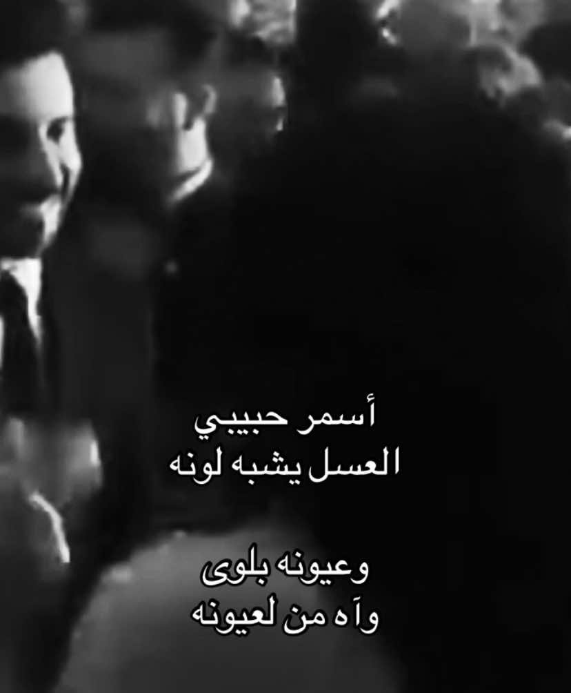 #هيفاء_وهبي #بشار_الاصيل #لعابه #fyp #viral #explore 