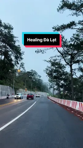 Chắc hẳn là ai cũng có một đoạn kí ức khó quên về Đà Lạt #didalatcungtruc #dalatreview #storydalat #dalatmua 