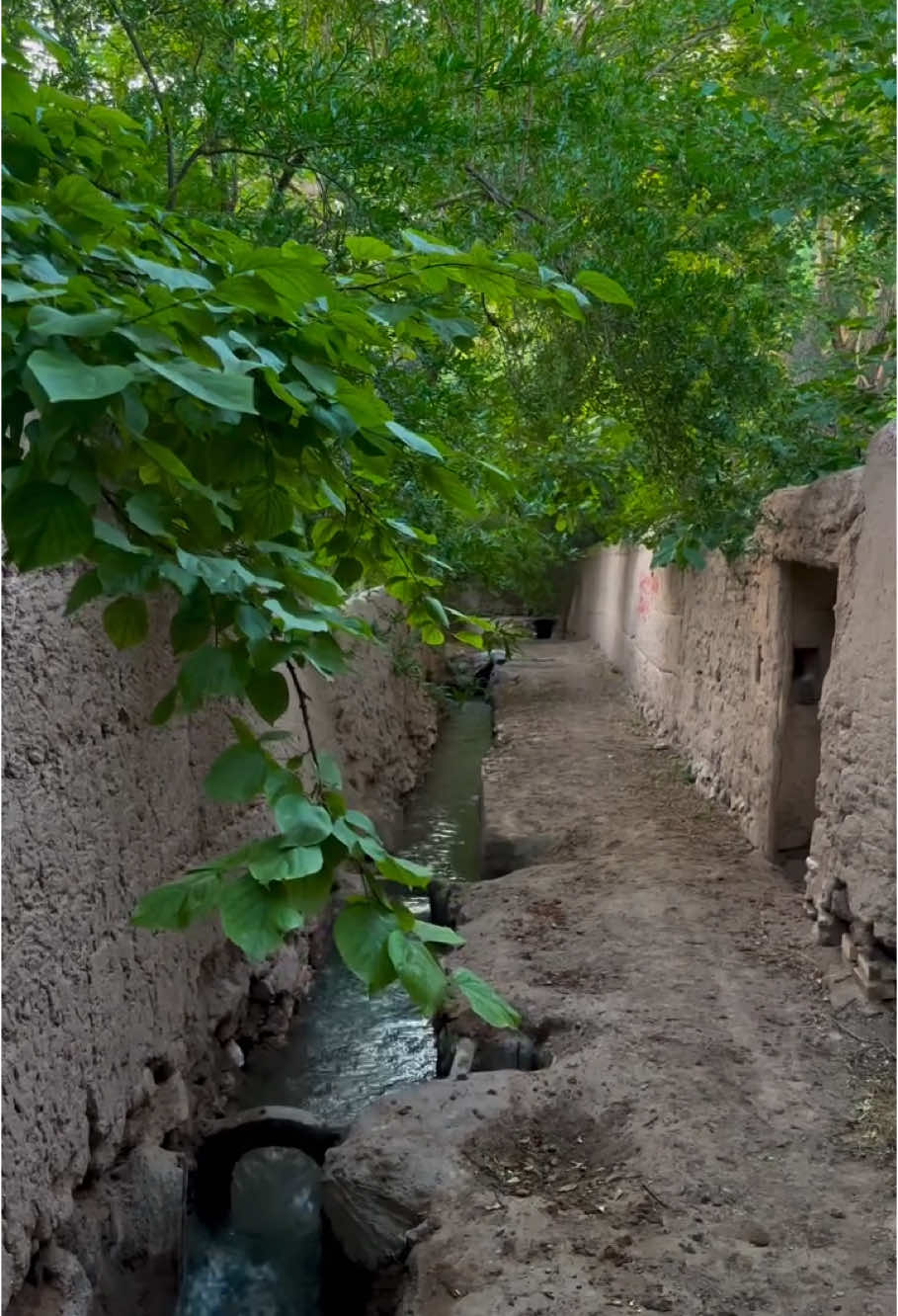 Old streets old beauty ❤️🌸🍂 .. .. #foryoupage #foryouu #sannu_afridi55 #growaccount #viralvideo #tirahvalley #unfreezeaccount #1milionviews 