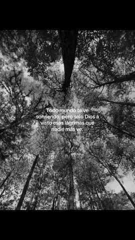 Solo el. ❤️‍🩹🥹 #paratiiiiiiiiiiiiiiiiiiiiiiiiiiiiiii #contenido #cristianos 